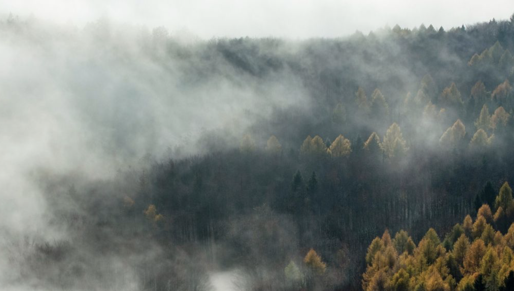 Ilyen időjárás várható Somogyban a következő héten